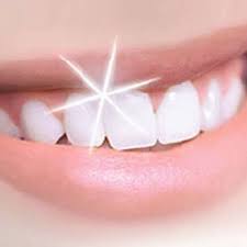 You'll be amazed at the quality of service our dental office provides. Bright Smile Dental Care General Dentistry 60 Stonecrest Ct Shelbyville Ky Phone Number