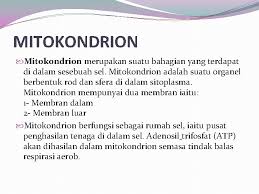 We did not find results for: Sel Haiwan Dan Tumbuhan V Perbezaan Sel Haiwan
