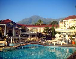 Taman ria suropati adalah kolam renang beserta kebon binatang di kota pasuruan. 10 Hotel Dengan Kolam Renang Di Terbaik Di Pasuruan