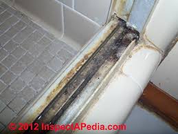 San diego, ca to remove and inhibit bathroom mold and mildew, pour a solution of 3 tablespoons white vinegar, 1 teaspoon borax, and 2 cups hot water into a clean, recycled spray bottle and give it a few good shakes. Bathroom Mold Mold In Bathrooms On Tile And Other Surfaces Bathroom Mold Detection Testing Mold Cleanup Bathroom Mold Prevention Guide