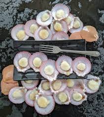 Ca so can tube 22.977 views2 year ago. Al Seafood Kerang Simping Belah Cara Makan Kerang Yang Facebook