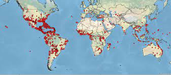 There are about 2,000 known termite species in the world, and about 50 species found in north america. Termites Around The World Pct Pest Control Technology