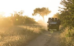 The driving time is approx. Crashing A Party At Luxury Silvan Safari Silvan Safari Blog
