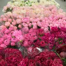 To discover the local history, there are many tours and museums available for guests to partake in. Farmers Market Annex Minneapolis Mn On Twitter From Market Flowers Peonies Are Here They Re Open Thur Fri 9 3 Sat Sun 7 1 In The Warehouse Here At The Farmers Market