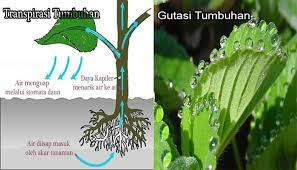 Pin Di Ilmu Pendidikan Bahasa Inggris