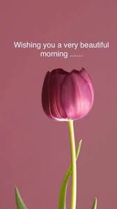 Beautiful Good Morning Inspirational Quotes 735x1306 Wallpaper Teahub Io May 10, 2019 at 11:32 am. beautiful good morning inspirational