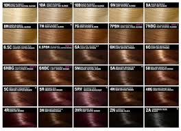 Hair Color Guide Chart Pecenet Com