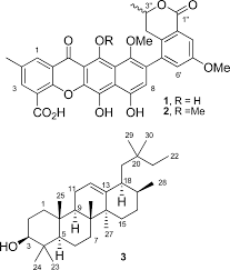 Image result for Aeschynomene nyassana