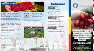 Servicii sociale pentru persoane vârstnice și alte categorii de persoane vulnerabile, licențiate de către mmps până la data de 04.05.2021. CondiÈ›ii De Acreditare Furnizori AgenÈ›ia JudeÈ›eanÄƒ Pentru PlÄƒÈ›i È™i InspecÈ›ie SocialÄƒ BistriÈ›a NÄƒsÄƒud