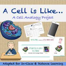 Animal cell comparison book by victoria black 90524 views. A Cell Analogy Project With Options Distance Learning By Brilliant Dust