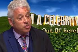 I'm A Celebrity fans reckon politician John Bercow should head to the  jungle