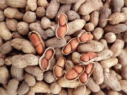 Maybe you would like to learn more about one of these? Resep Membuat Kacang Bawang Camilan Renyah Untuk Sajian Lebaran