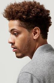 The beauty of the afro, are, of course, the curls. 35 Awesome Afro Hairstyles For Men In 2021 The Trend Spotter