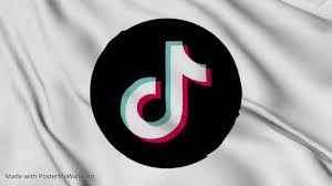Tiktok Flag Zoom Virtual Background Video Free Social Media Virtual Background