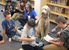 Best Practices In Show Therapy Dogs In Schools