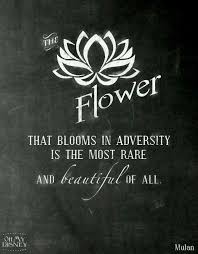 Meaning Of The Lotus Flower No Mud No Lotus Beautiful Disney Quotes Lotus Quote Flower Quotes