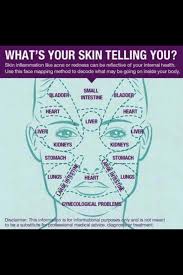 skin chart face mapping face reading health