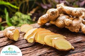 Ginger, (zingiber officinale), herbaceous perennial plant of the family zingiberaceae, probably native to southeastern asia, or its aromatic, pungent rhizome (underground stem) used as a spice, flavouring. Ginger The Magic Root For Monsoon