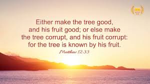 Growing fruit trees gives you an even grander seasonal experience plus access to some healthy snacks at the peak of freshness. Reflection On Matthew 12 33 A Tree Is Known By Its Fruit