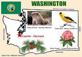 6 washington state symbols and. Washington Geography Legends Of America