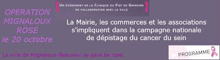 Lami Loisirs Animation Mignaloux Beauvoir Publications Facebook