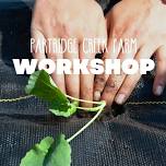 Workshop | Transplanting