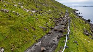 原一男 極私的エロス.