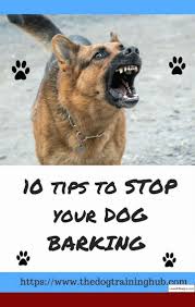 How To Train Your Dog To Bark At Strangers And Pics Of Alpha Dog Training Tips Tip 1683883 Puppy Training Dog Training Dog Barking