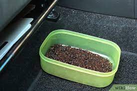 3 Ways To Remove Spoiled Milk Odors From A Car's Interior