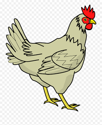 350 x 350 jpeg 16 кб. Vector Black And White Stock Png Files Chicken Cliparts Free Transparent Png Images Pngaaa Com