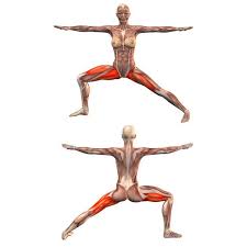 Browser Not Supported Yoga Anatomy Yoga Asanas Warrior Pose