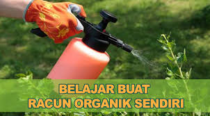 Racun rumput yang bagus di pasaran indonesia sangat beragam. Tips Membuat Racun Organik Yang Selamat Daily Rakyat