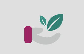Ces Gestes Eco Friendly Qu On Devrait Piquer Aux Indiens La Carotte Masquee