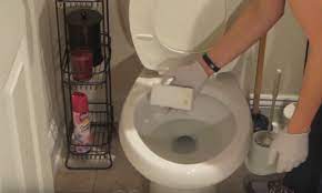 14 Tips To Get Rid Of Toilet Ring