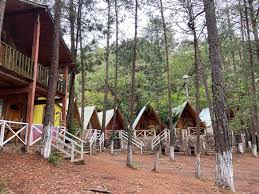 Hotel y Cabanas Real San José