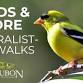 Birds & More Nature Walk event image