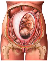 We did not find results for: How Does My Body Work During Childbirth Taking Charge Of Your Health Wellbeing