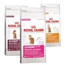 Royal Canin Cat The Exigent Range Especially Designed For Fussy Cats Stocked In Both Stores Food Animals Royal Canin Cat Stock