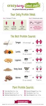 My Crazy Sexy Guide To Plant Based Protein