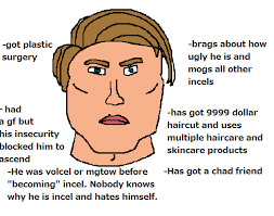 An analogy many incels often find elucidating would be comparing the state of lifelong inceldom to other common adverse life circumstances, such as poverty. Mentalcel Incel Wiki