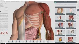 Complete anatomy windows 10 app. Complete Anatomy Download