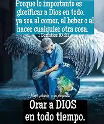 Pin By Marcela Maya On Mujer Idonea Con Proposito In 2020 Fish Pet Pets Animals