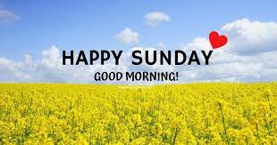Most inspiring and beautiful sunday morning quotes for friends, lover and loved ones. 53 Best Sunday Good Morning Quotes To Celebrate Sunday Morning With Happiness Joy