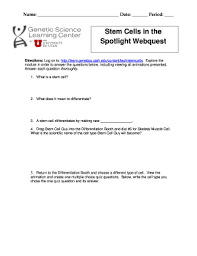 Our bodies are amazingly complex systems. Stem Cells In The Spotlight Webquest Answer Key Fill Online Printable Fillable Blank Pdffiller