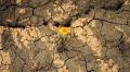 France Experiences Third Hottest Summer on Record in 2025