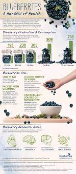 Can Dogs Eat Blueberries Side Effects And Benefits Based On Studies Blueberries Nutrition Nutrition Health And Wellness