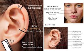 Amazon.com: SAILIMUE 3 Pcs Surgical Steel Nose Rings Hoop for Women 18G 16G  Clicker Hinged Segment Septum Lip Nose Rings Helix Cartilage Conch Rook  Earrings Piercing Jewelry Diameter 8mm 10mm : Clothing,