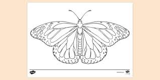 Butterfly coloring pages printable free. Butterfly Drawing Colouring Pages For Kids Teacher Made