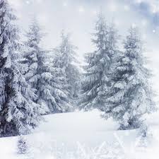 Get it as soon as fri, mar 5. Gray Winter Photography Backdrops Snow World Pine Tree White Snowy Floor Christmas Background For Photo Studio 150cm 200cm Christmas Background Backgrounds For Photo Studiobackground For Photo Aliexpress