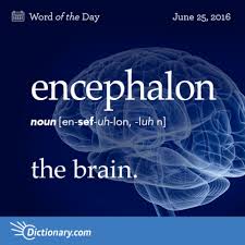 Endsville Word Of The Day Dictionary Com Weird Words Words Unusual Words